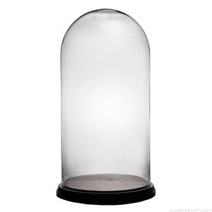 Glass Cloche With Wood Base